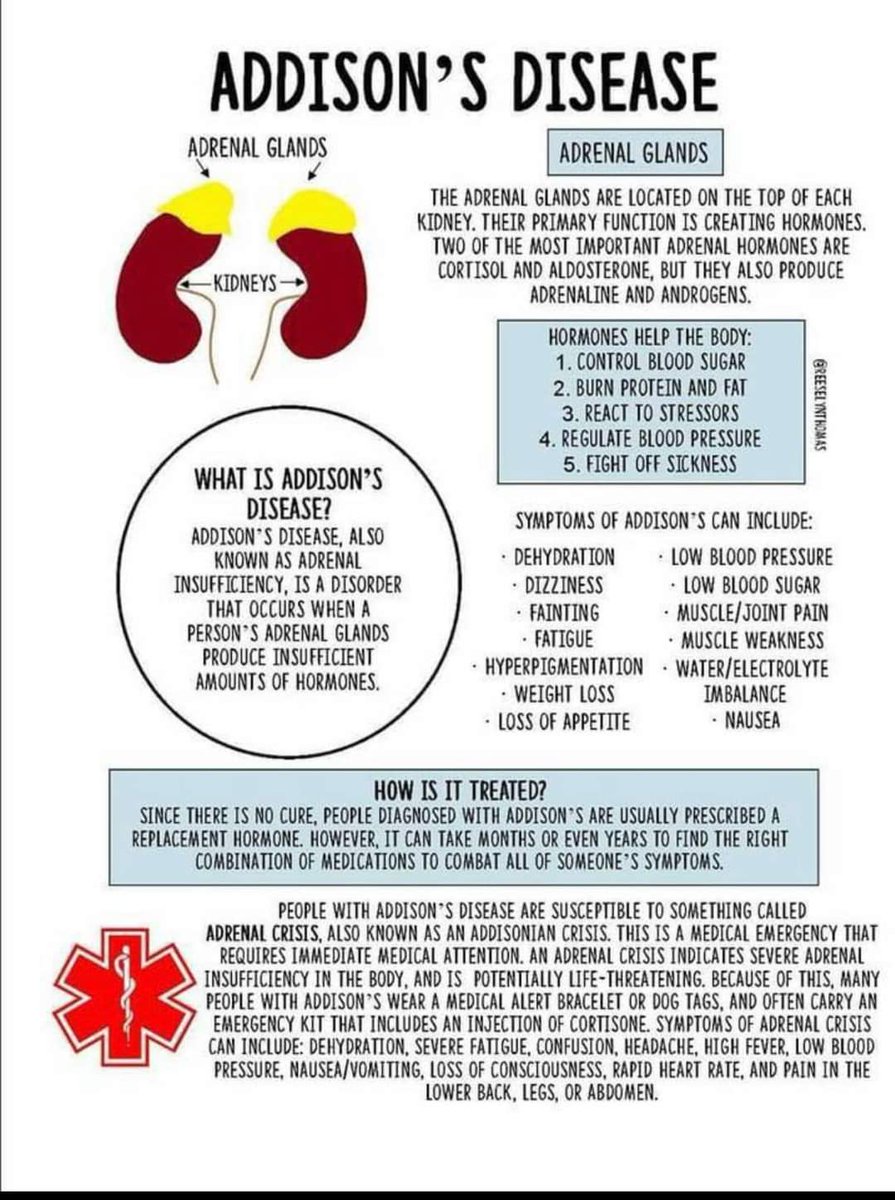 Natalie Clinton tweet media