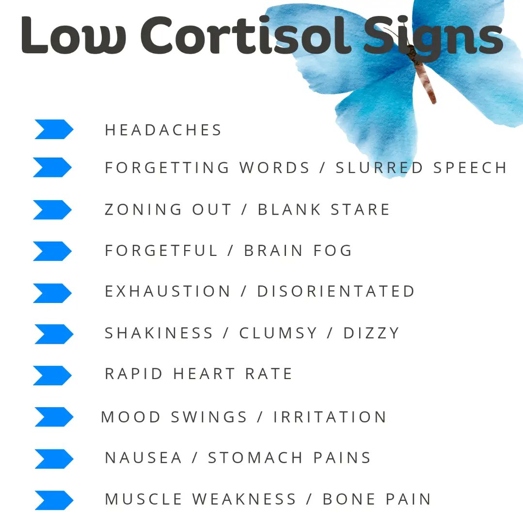 Natalie Clinton tweet media