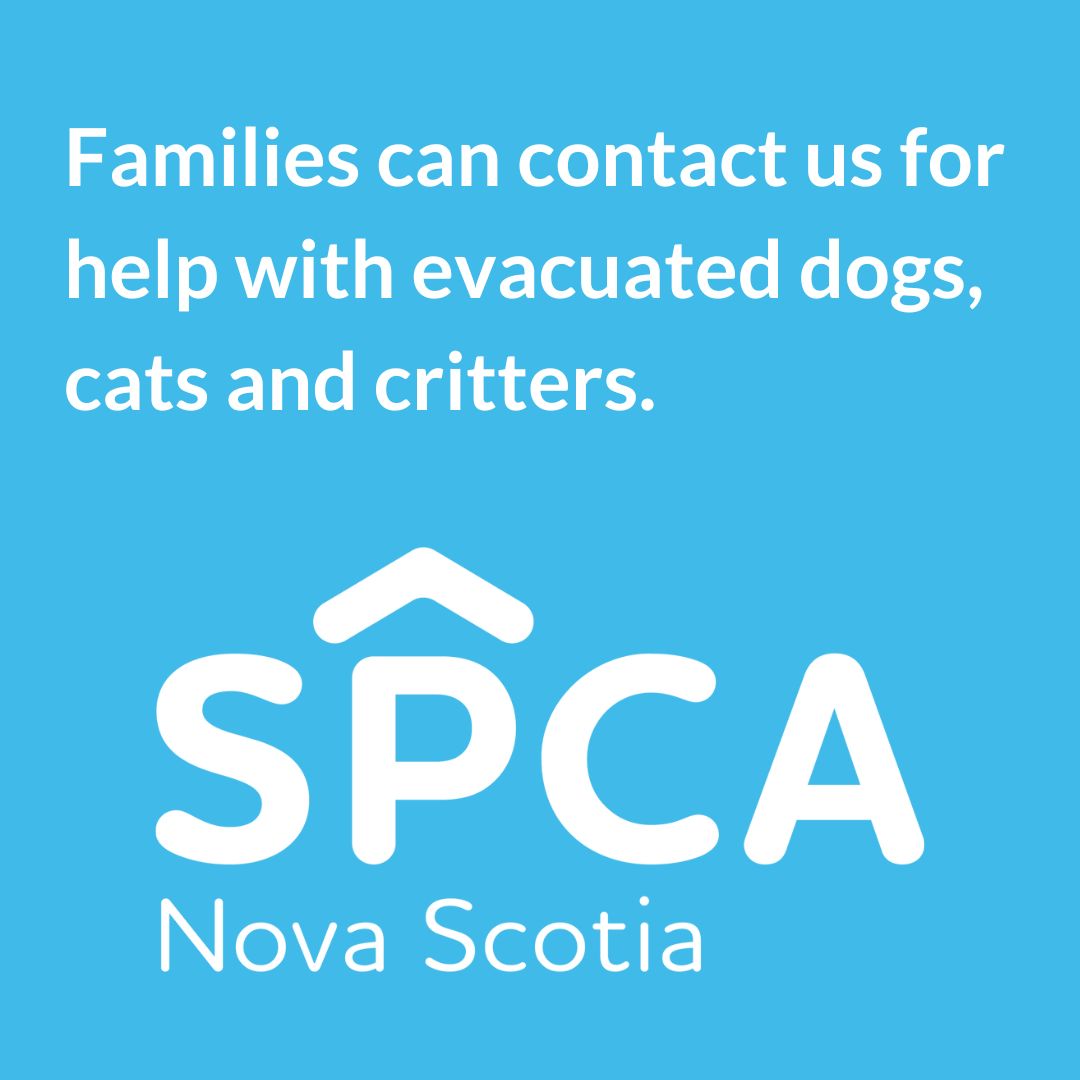 If you are being evacuated from the wildfires and need a space for your pet, please text us 902-229-8620. We are here to help. The Nova Scotia SPCA has over 75 evacuated animals in care as of Monday morning, and we are making room to help more.