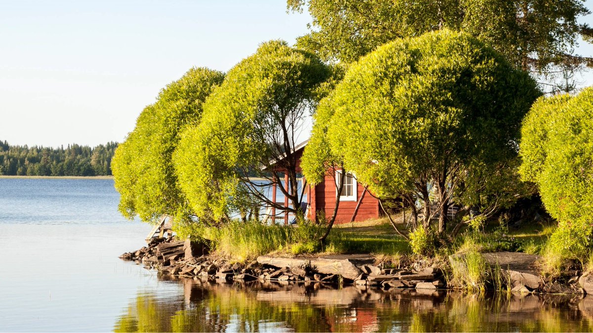 If visiting a Finnish summer cottage, you'll likely find a sauna built next to the lake. Photos ©  @OurFinland, by Jaakko Tähti; Anneli Hongisto; Milla Rasila;  and Hannu Holopainen:
instagram.com/discoveringfin… 
Learn more about cottage holidays in Finland: discoveringfinland.com/accommodation/…