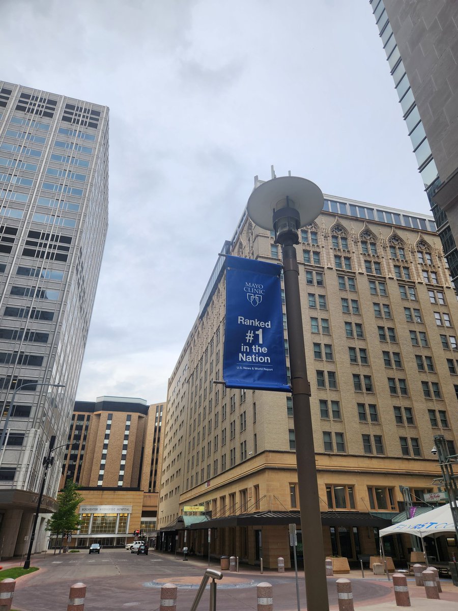 RadynaDanuta's tweet photo. Here we go! Looking forward to an amazing summer experience in research at Mayo Clinic. https://t.co/2QCzaLS8pV
