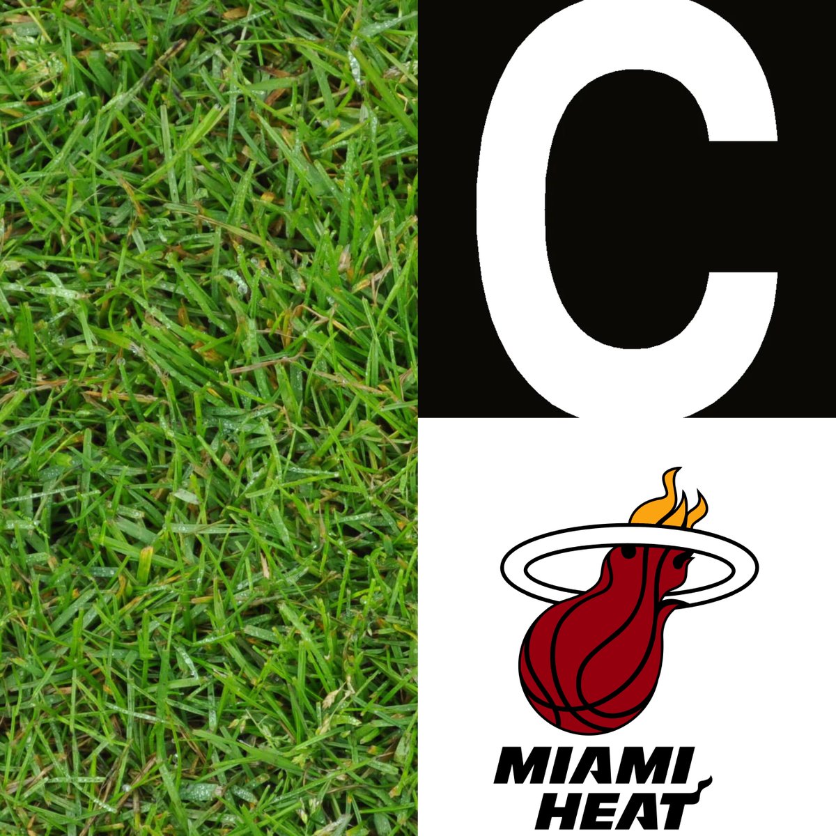 NBA Memes on Twitter "How to say thank you in Spanish 😂💀"