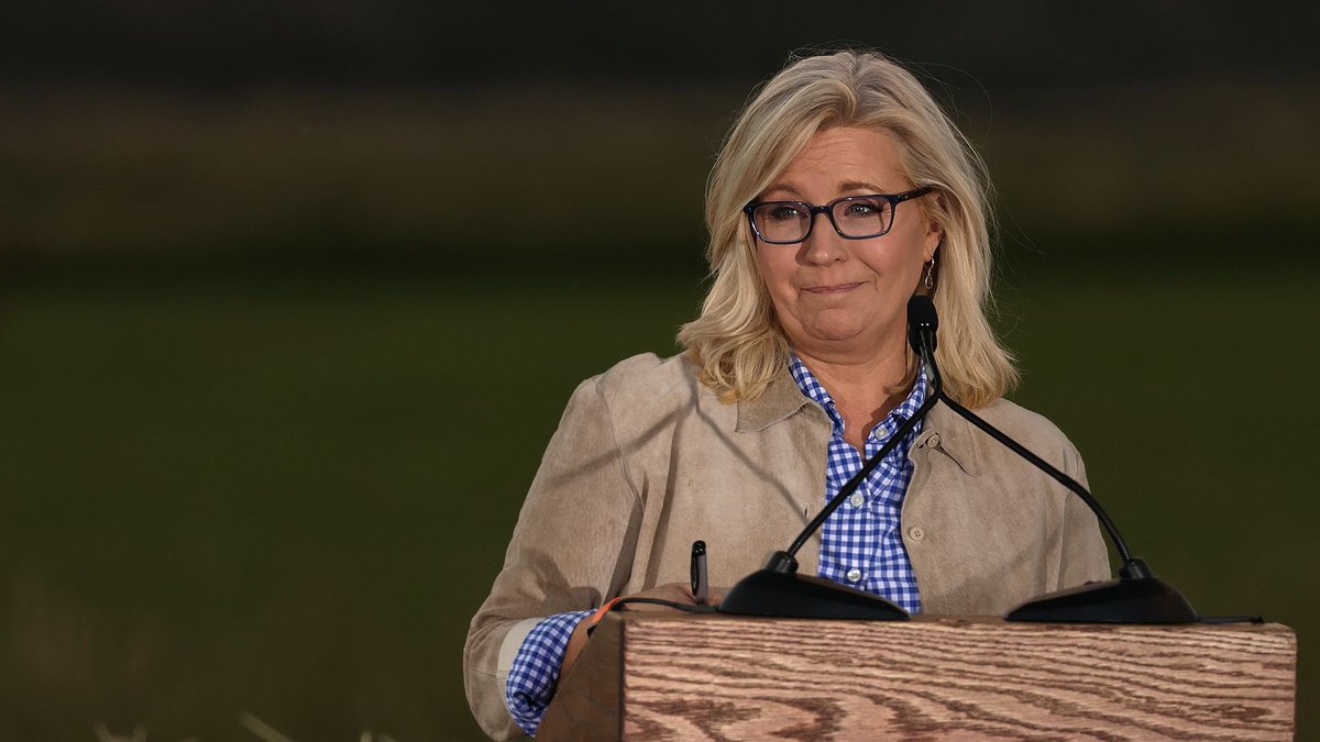 Liz Cheney said anyone who is willing to pardon Jan 6th defendants is unfit to be president. 

Do you agree? ✋♥️