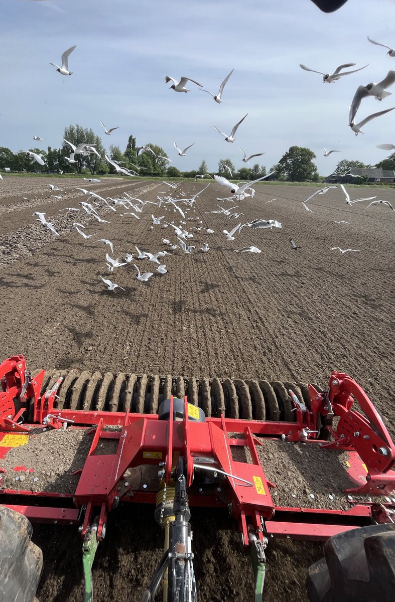 Rickjd3050's tweet photo. Ertwenland ploegen met demoploeg @dickklokdealer en gelijk dichtrijden,  morgen eindelijk zaaien https://t.co/pvvdy1Sh3P