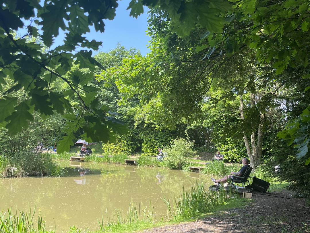 Partridge Lakes Fishery tweet media