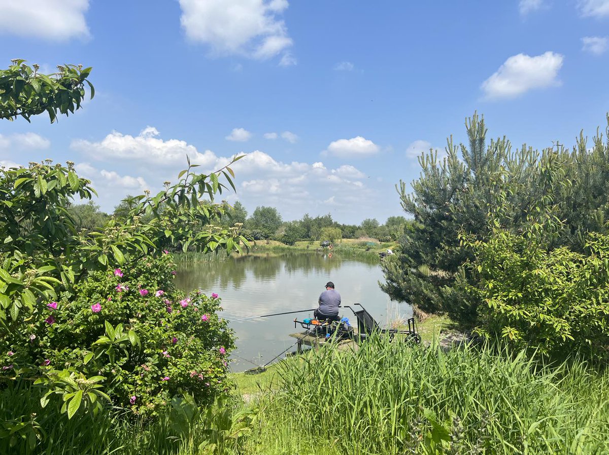 Partridge Lakes Fishery tweet media