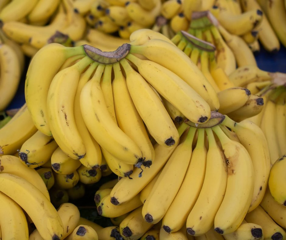 Did you know?
 Bananas are a good source of vitamin C, vitamin B6, and potassium.
#health #fitness #nutrition  #exercise #DidYouKnow #vitamins #strengthtraining #muscleandstrength #fatloss #personaltrainer