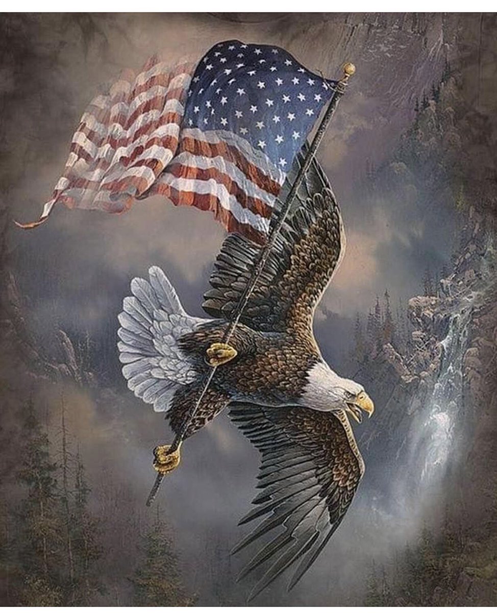 Alison Lee tweet media