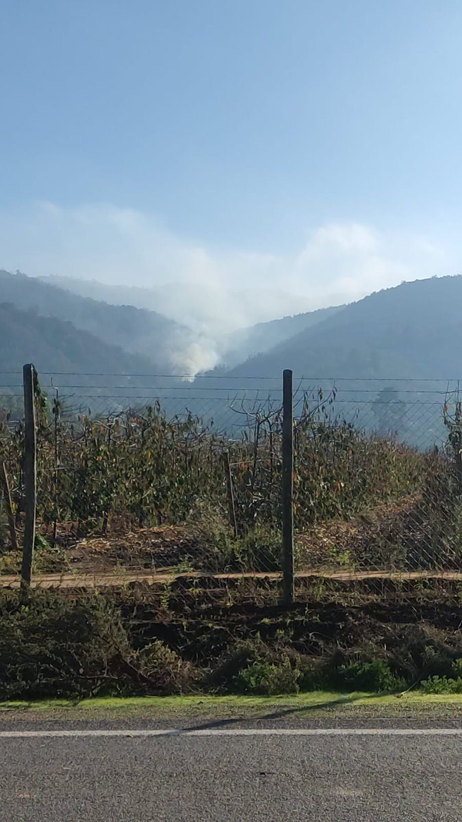 conaf_ohiggins's tweet photo. #IFLaPlata, #LasCabras, #CONAFOHiggins
#EnCamino a las 10:30 hrs
Superficie ➡️0,1 hectáreas.
Combustible ➡️ Arbolado
Recursos➡️1 técnicos, 3 brigadas
@conaf_minagri @DPROhiggins @incendios_CONAF https://t.co/E8vQyXTlht