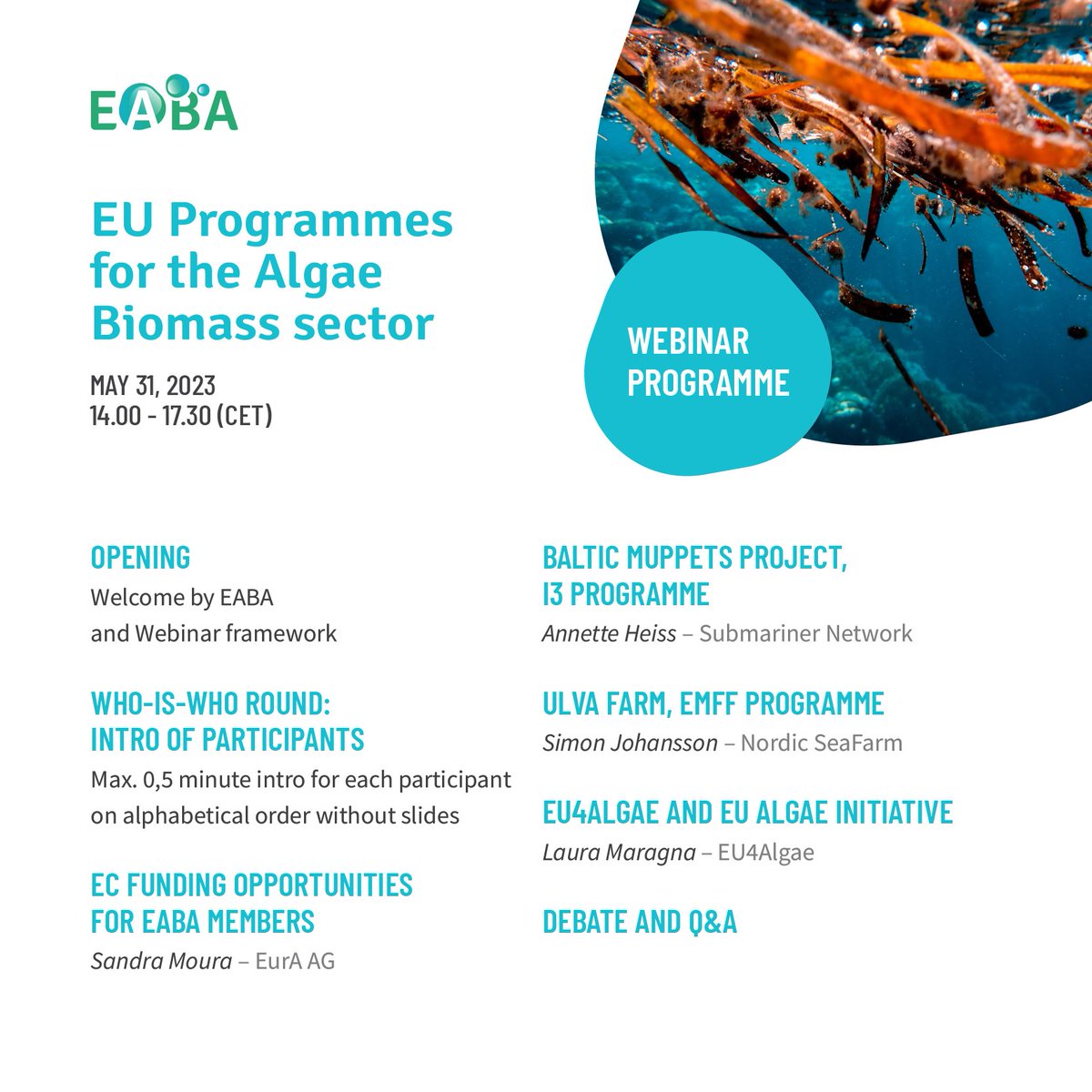 💡 Webinar « EU programmes for the algae biomass sector »: programme is released 🙂! You were waited for it, here it is: discover the programme of our next webinar (May, 31) 🗒 #algae #microalgae #seaweed #biomass #innovation #science #horizoneurope #funding #projects