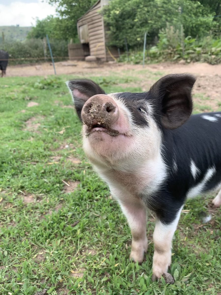 Martha Roberts tweet media