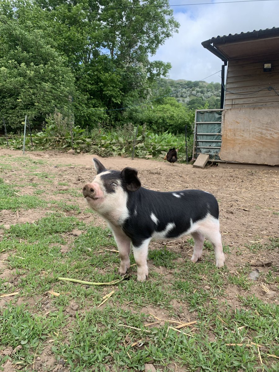 Martha Roberts tweet media