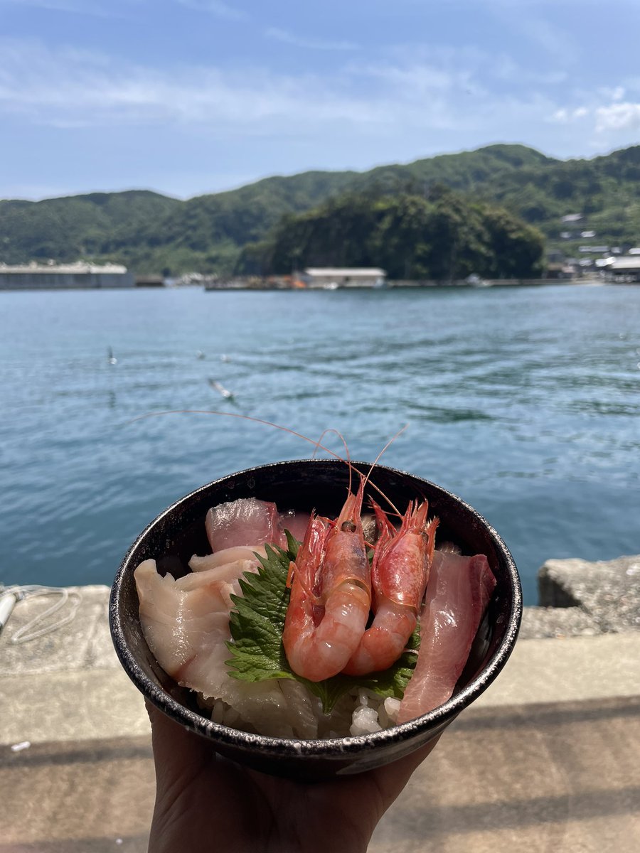 p8eks's tweet image. 京都・伊根にある蒲入水産で初めての #おてつたび 中！
海見ながら食べる新鮮な海鮮丼が最高においしい🐟