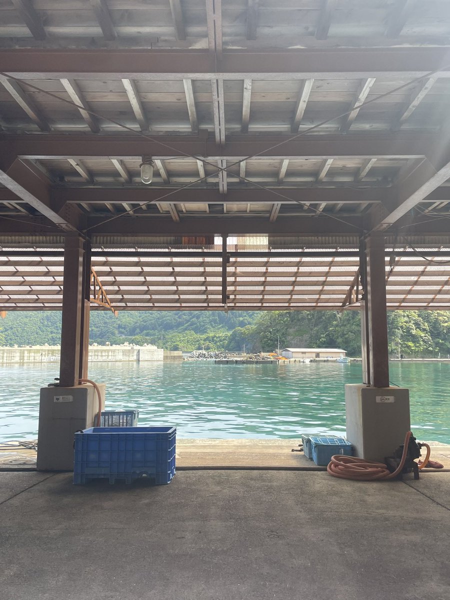 p8eks's tweet image. 京都・伊根にある蒲入水産で初めての #おてつたび 中！
海見ながら食べる新鮮な海鮮丼が最高においしい🐟