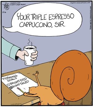 sunny_joni's tweet photo. New week. New me. Hi Monday!
#caffeineme https://t.co/IFfJ8wWOa5