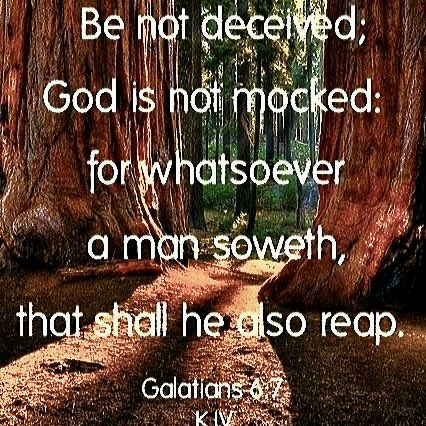 A Daily Reminder,