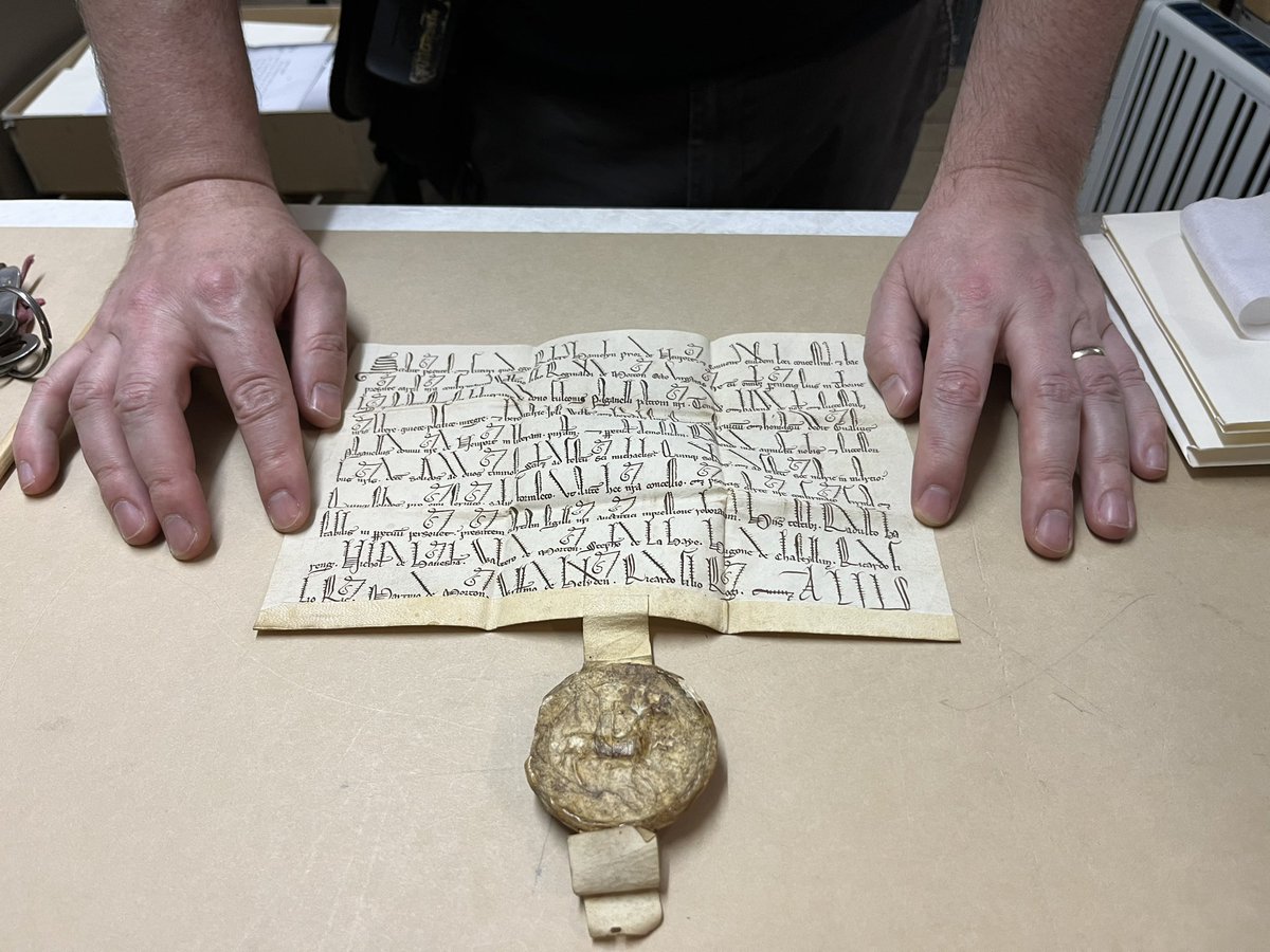 Delightfully wacky hand for #paleography Twitter in the Magdalen archives