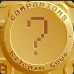kl0ckd's tweet photo. Ordinals & BRC-20 Meta! 🟧
Good thing @bitcoincows_ have been cooking for months!!! 🍳
Drop coming soon!!! 🔥
Don’t fade #BitcoinCows 🐮
#NFTs #btc #BRC20 #Ordinals #ETH https://t.co/MW33eY8LE3