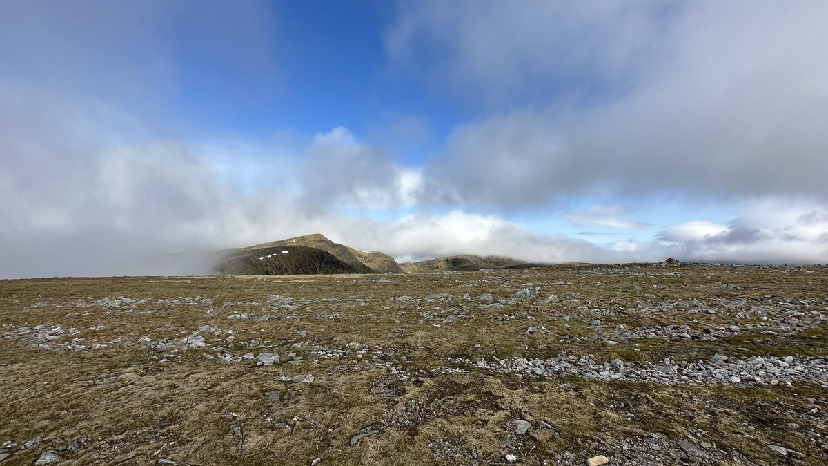 Richard Taylor tweet media