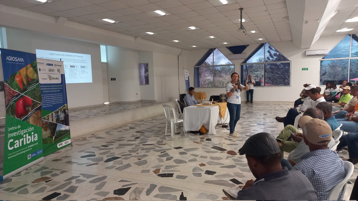 AHoRa_MusApp's tweet photo. Hoy en el municipio de Dibulla, La Guajira, Colombia se desarrolla el evento de presentación de la Versión Pro y cierre del proyecto °AHoRa con productores familiares de plátano https://t.co/LAItAy4Qz6