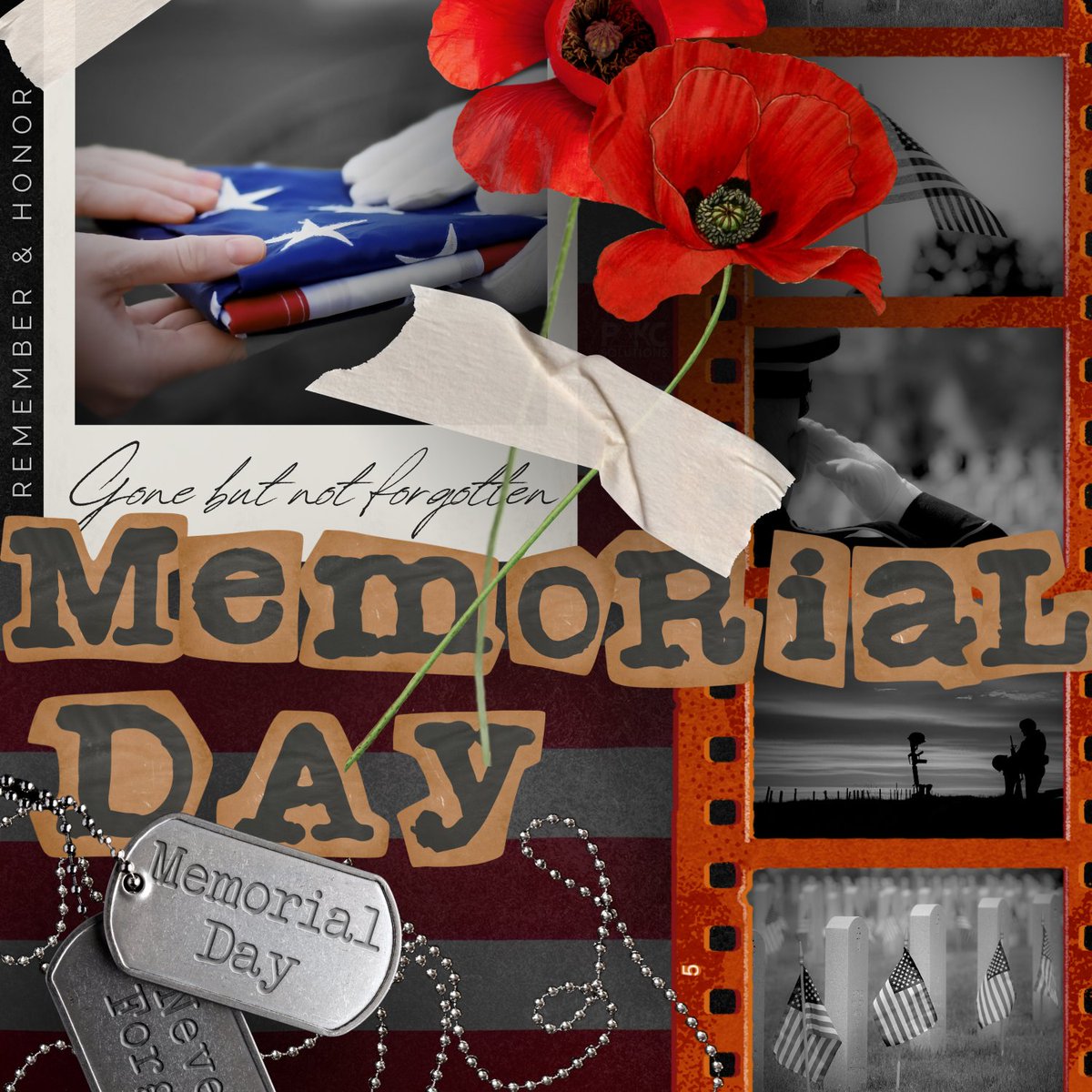 PAKC Solutions tweet media