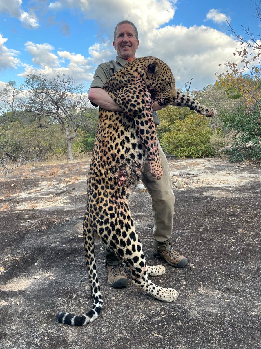 XposeTrophyHunt's tweet photo. Left overnight to suffer in agonizing pain, with a stomach wound, one of the PH's had to kill this leopard the next day. The "hunter" should have been shamed, not congratulated by the PH Wayne van den Bergh (far right.) ๐คฌRT
#BanTrophyHunting
@ProtectWldlife @_AnimalAdvocate https://t.co/wyQIuMCS4N