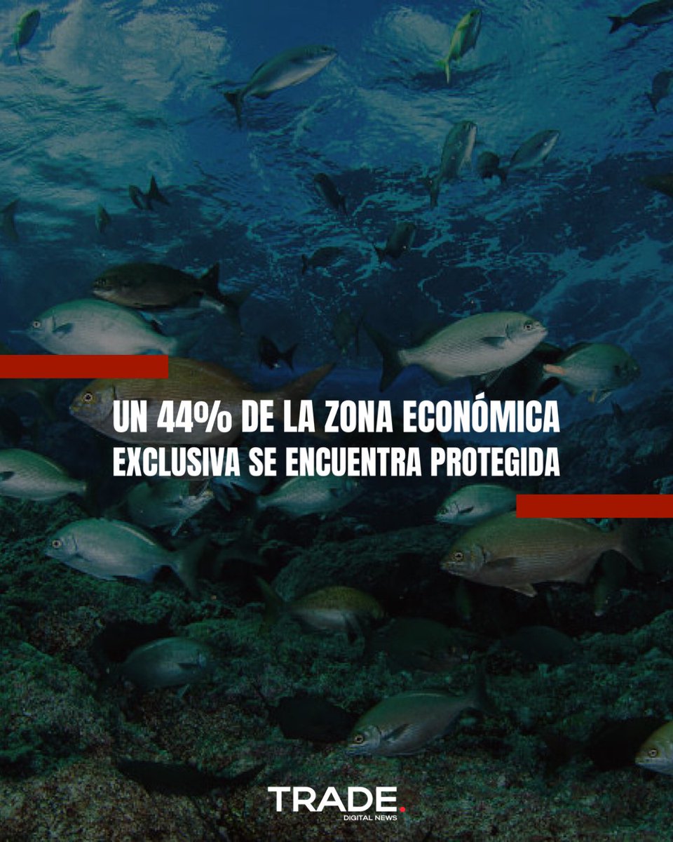 🌊 Actualidad | La directora de Oceana, Liesbeth van der Meer, repasó avances y desafíos en el cuidado de los oceános en un nuevo Mes del Mar.

🔖 trade-news.cl/2023/05/29/un-…