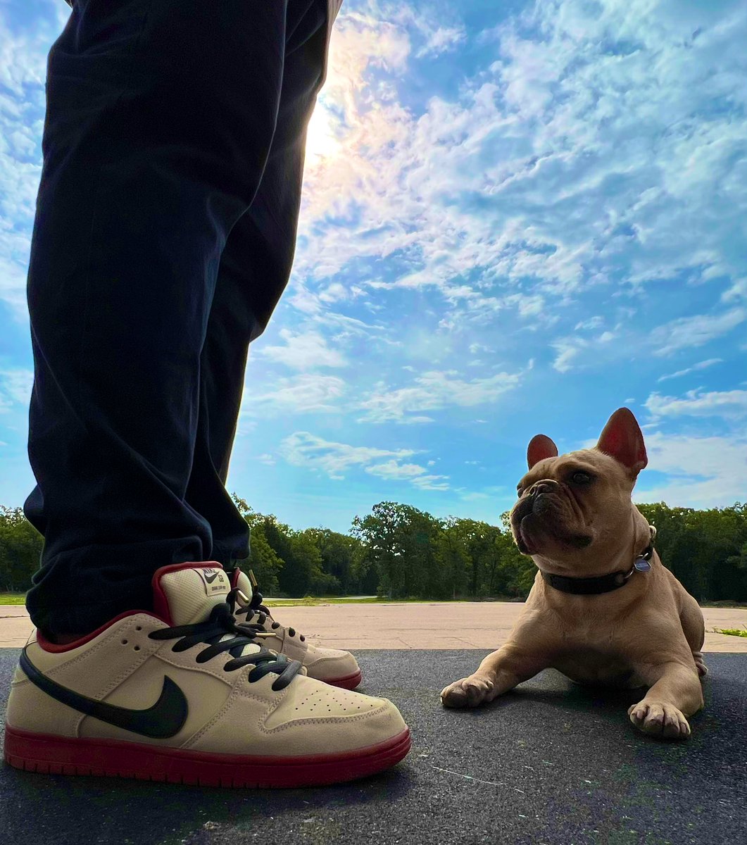 Dog the day: Nate Dogg 
French Bulldog

Kicks of the day: Nike SB Dunk
“Hennessy”

#KOTD #Sneakerhead #Yoursneakersaredope #sneakersaddict #snkrsliveheatingup #snkrs #dogtraining #dogtrainer