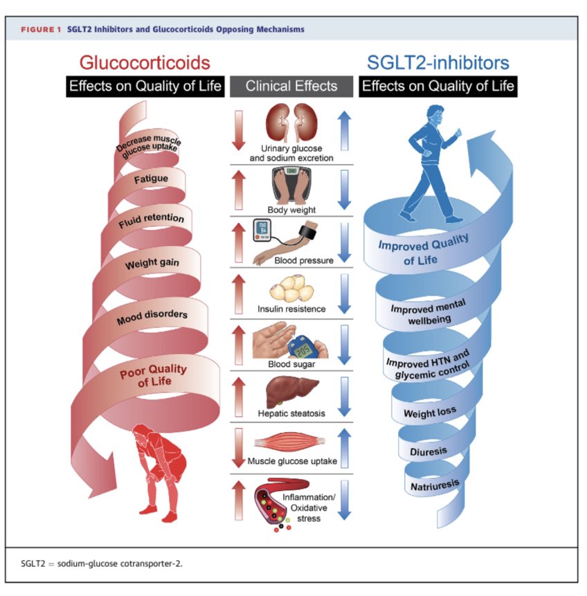 🟠 SGLT-2 Inhibitors as Enablers of Chronic Glucocorticoid Therapy @JACCJournals #CardioEd #Cardiology #CardioTwitter