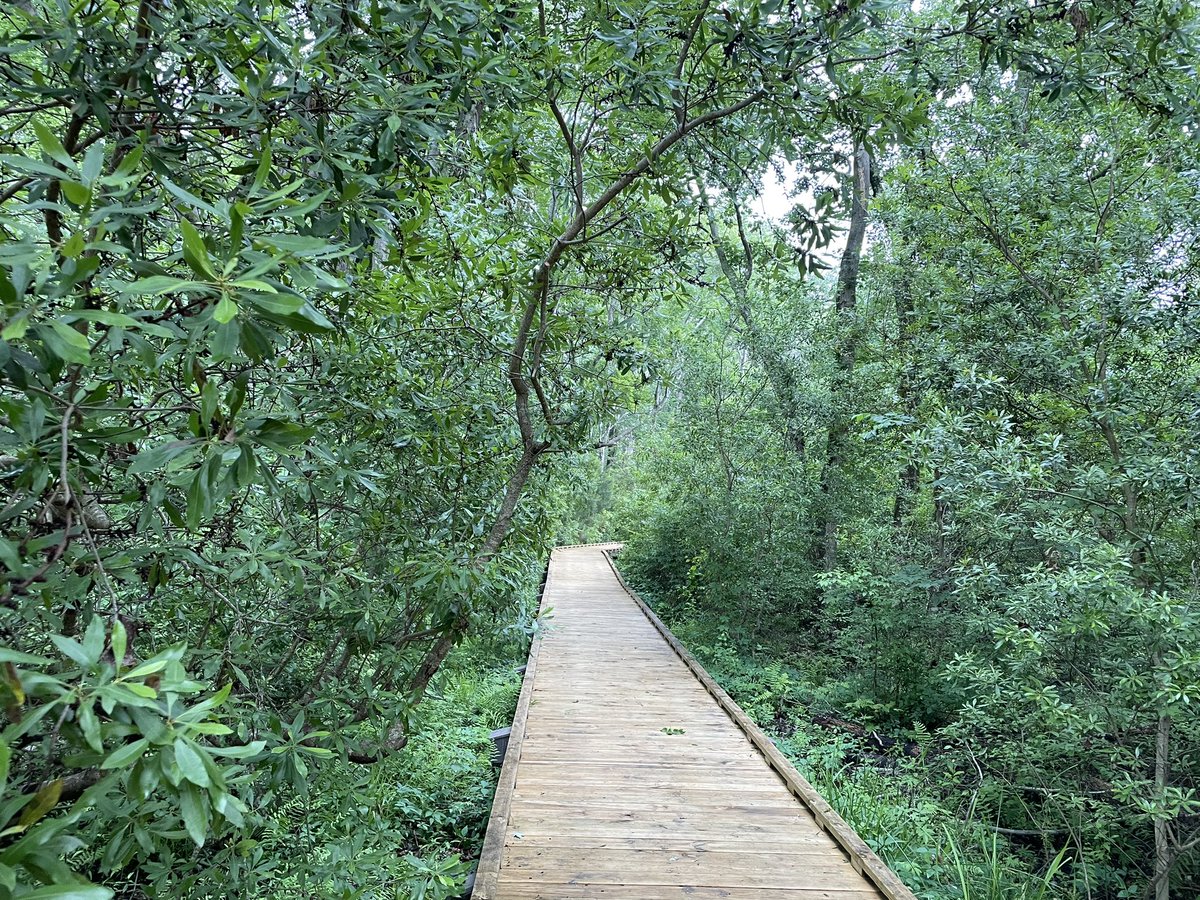 Liz Derstine tweet media