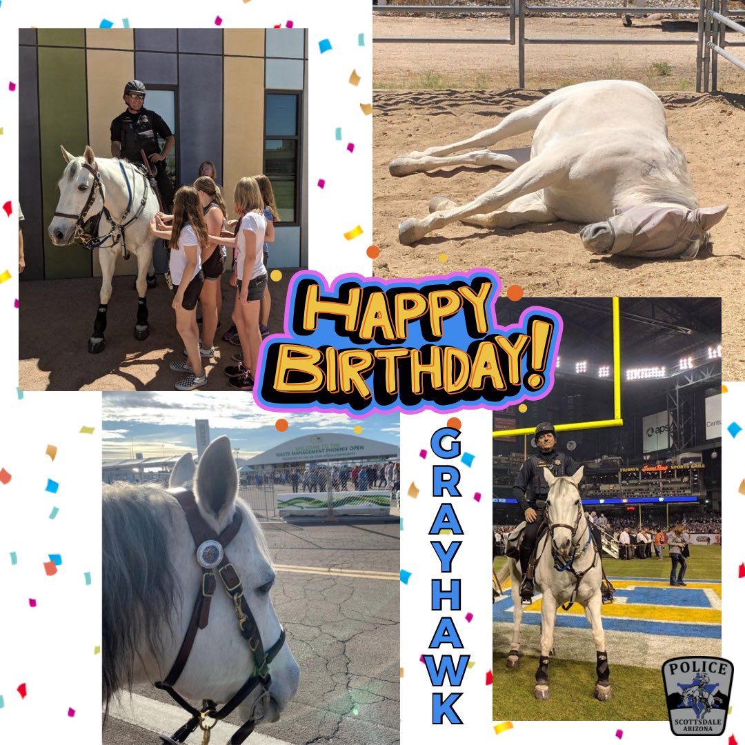 ScottsdalePD's tweet photo. Happy Birthday to this guy who loves naps more than anyone we know. Happy 22nd lap around the sun, Grayhawk!
#SPDMountedUnit #SPDGrayhawk #ScottsdalePD https://t.co/73LRNwx1kW