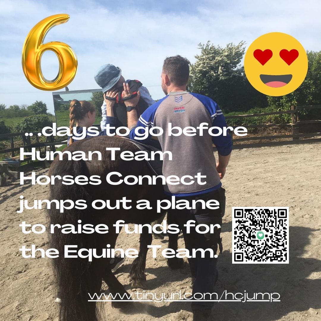 horsesconnect's tweet photo. @HorsesConnect work with people who are experiencing a wide range of physical, intellectual, mental health and other challenges through interaction with horses. You can help by donating and/or sharing this post https://t.co/p4bpzCcAhk https://t.co/RqB3a6o6hf