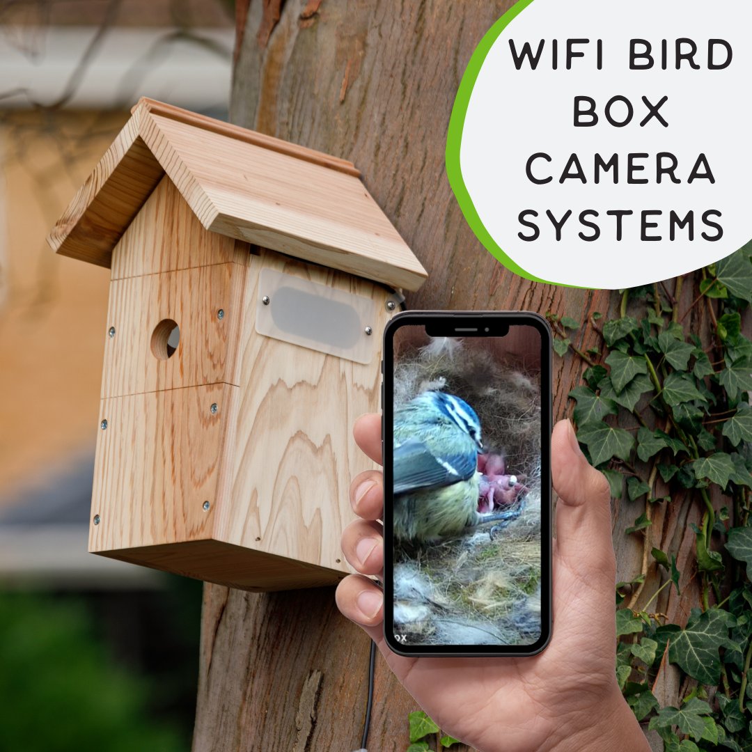 gardenature tweet media