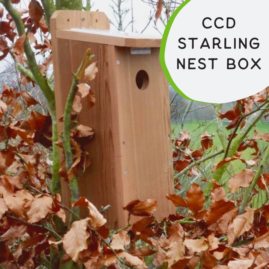 gardenature tweet media