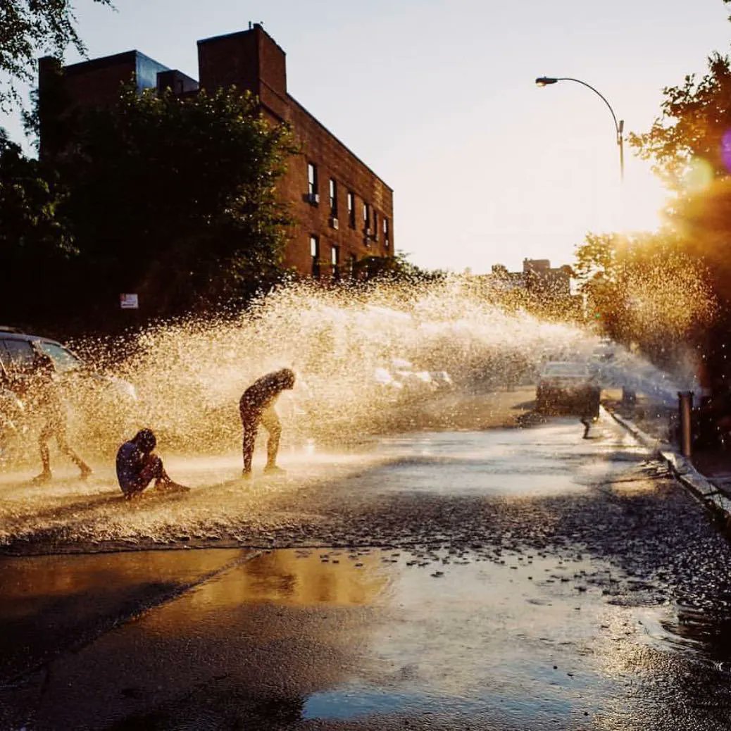 Miss Rosen tweet media