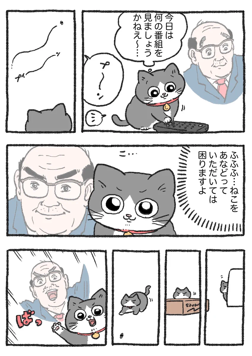 「ねこ転」その114が公開！虫を捕らえようとするプンちゃんですが…！？