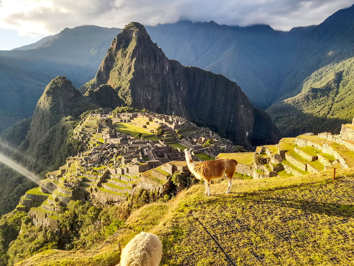 𝐌𝐚𝐜𝐡𝐮 𝐏𝐢𝐜𝐜𝐡𝐮 𝐖𝐞𝐚𝐭𝐡𝐞𝐫
When is the best time to visit this ancient wonder? The answer is, anytime! Machu Picchu offers a moderate climate year-round, ensuring you won't be too hot or too cold incatrailmachu.com/en/travel-blog…

#incatrailmachu #machupicchu #perutravel #Peru