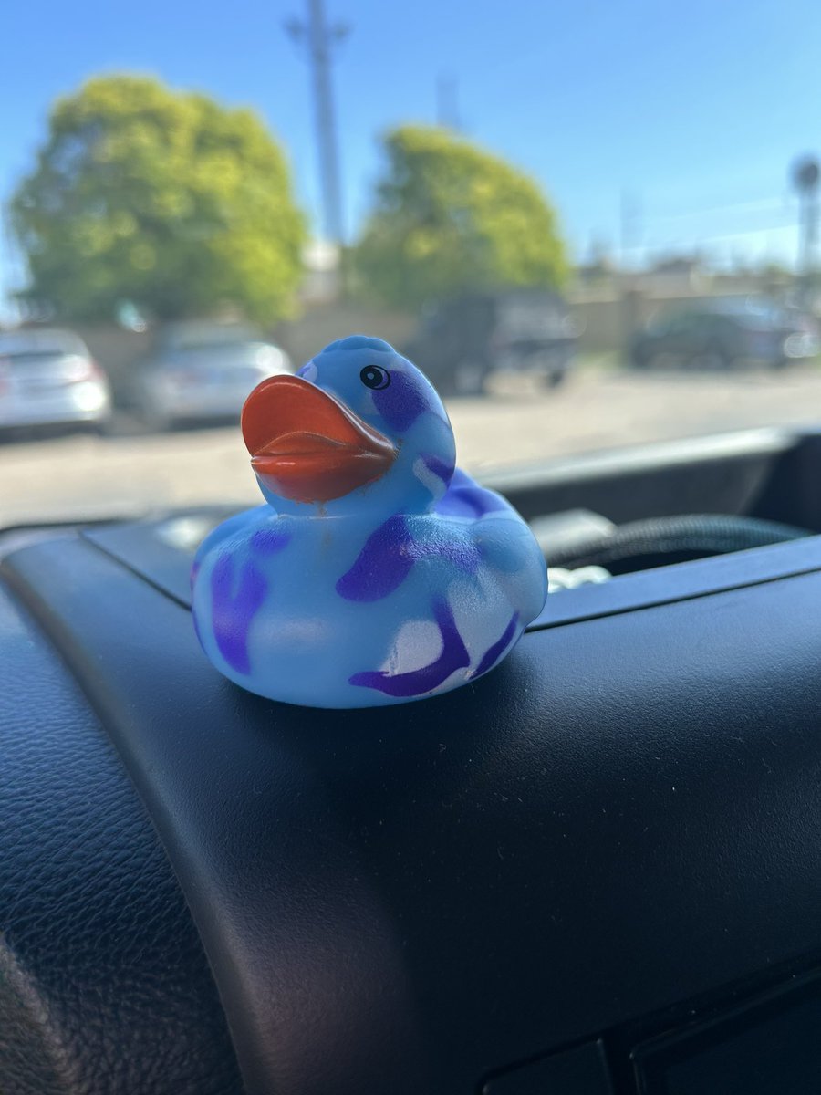 WayneTheWise's tweet image. Got camo #ducked 😋 thanks, Jeeper 👋