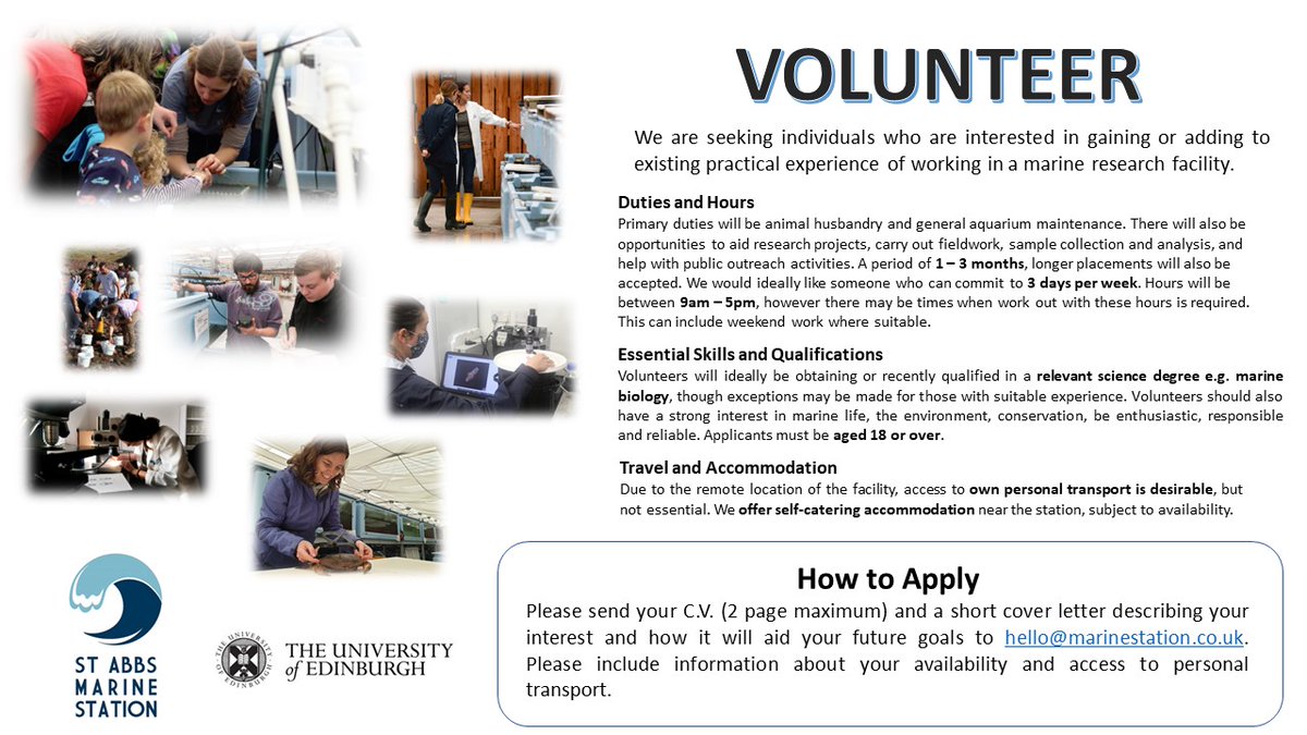 St Abbs Marine Station is currently accepting applications for volunteers to work in our research aquarium and laboratory. We are seeking individuals who are interested in gaining or adding to existing practical experience of working in a marine research facility.