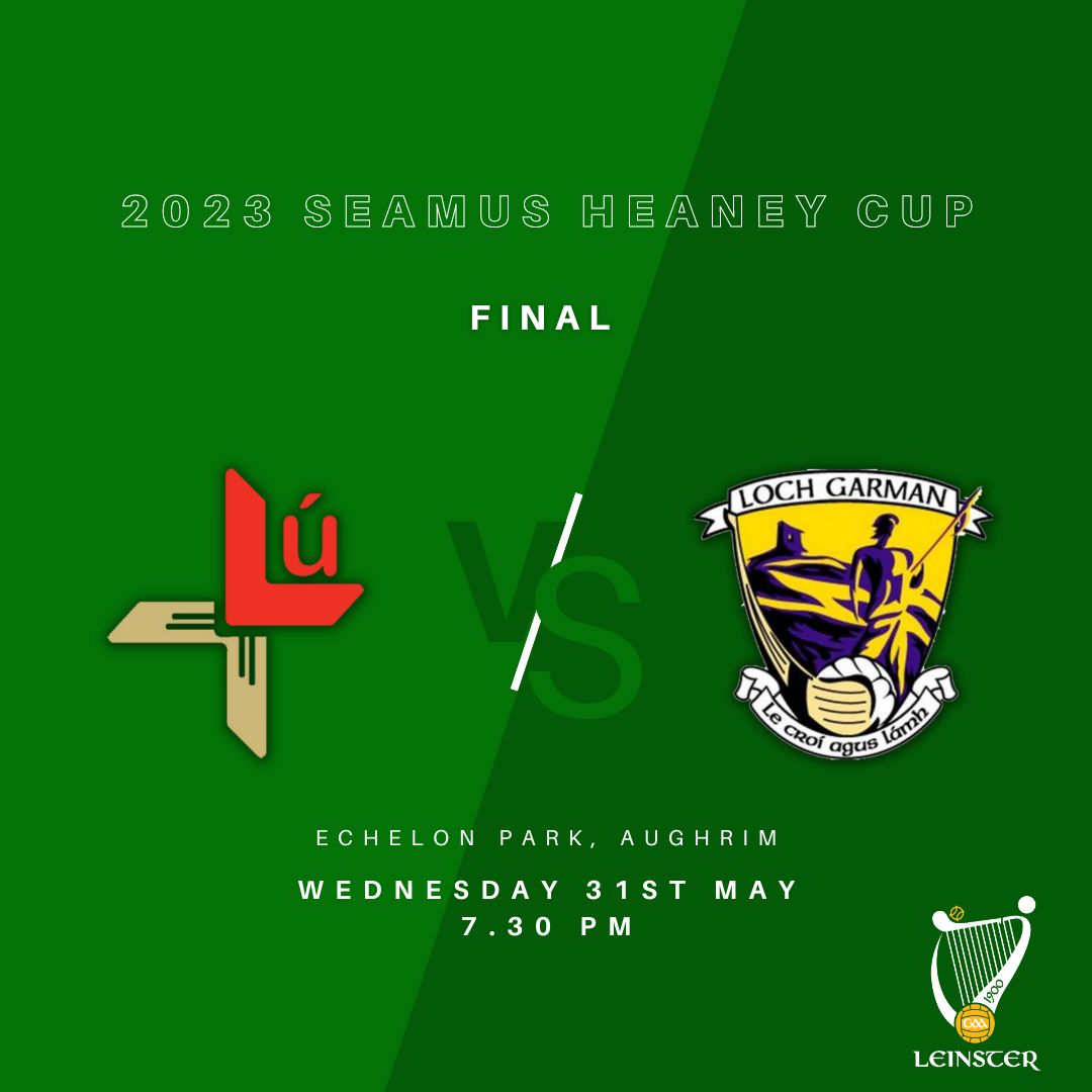 Leinster GAA tweet media