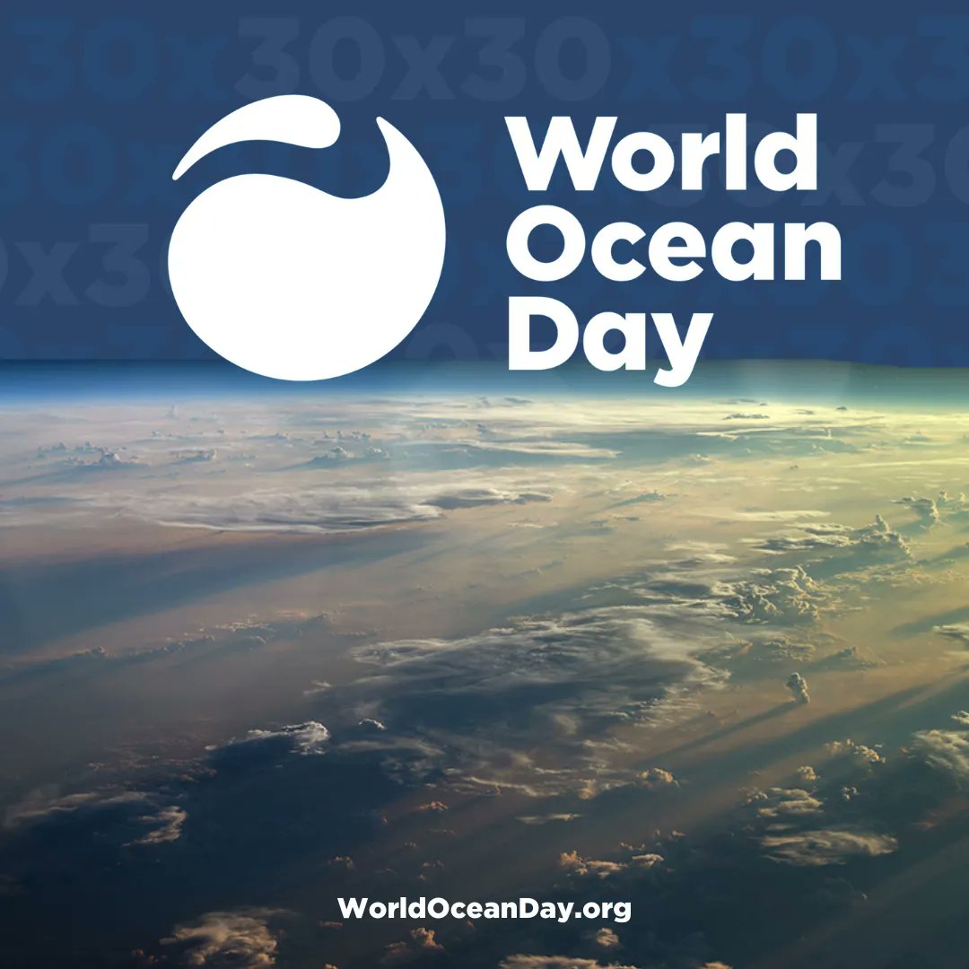 World Ocean Day tweet media