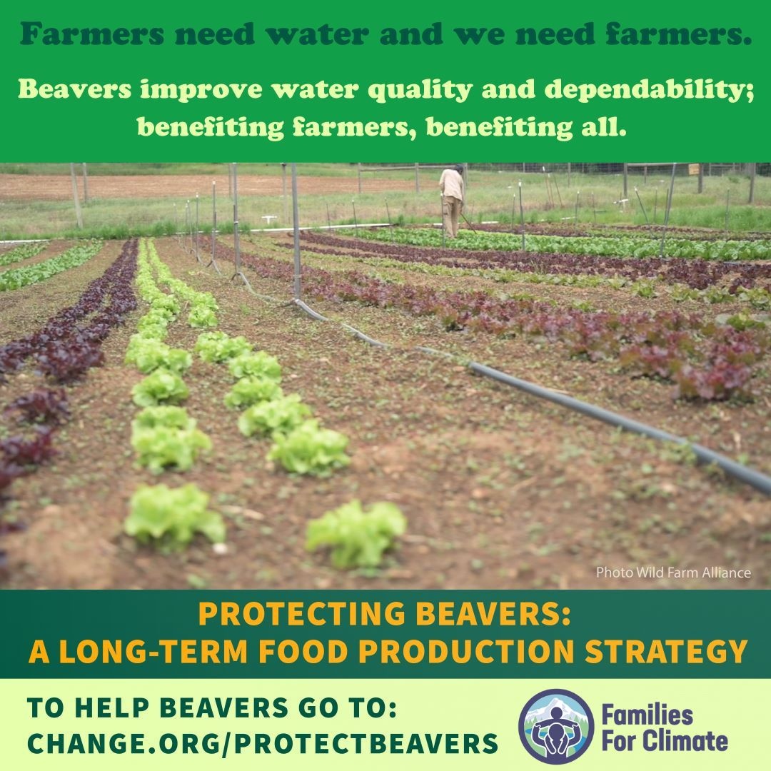 Farmers have water because beavers help improve water quality! Help us protect the beavers by signing the Change.org petition at change.org/protectbeavers! Let's get as many signatures as we can by May 31!