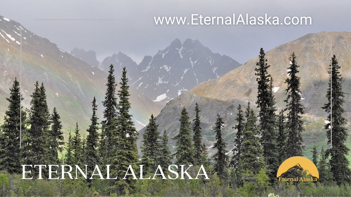 AnEternalLegacy's tweet photo. Our commitment is to your peace and nature's preservation. Discover how we create sustainable, touching memorials through ash scattering in Alaska. #EternalAlaska #AshScattering #EcoFriendly #AlaskaBeauty #Memorials https://t.co/eHL3BgrSZE https://t.co/u8KGOVn3P7