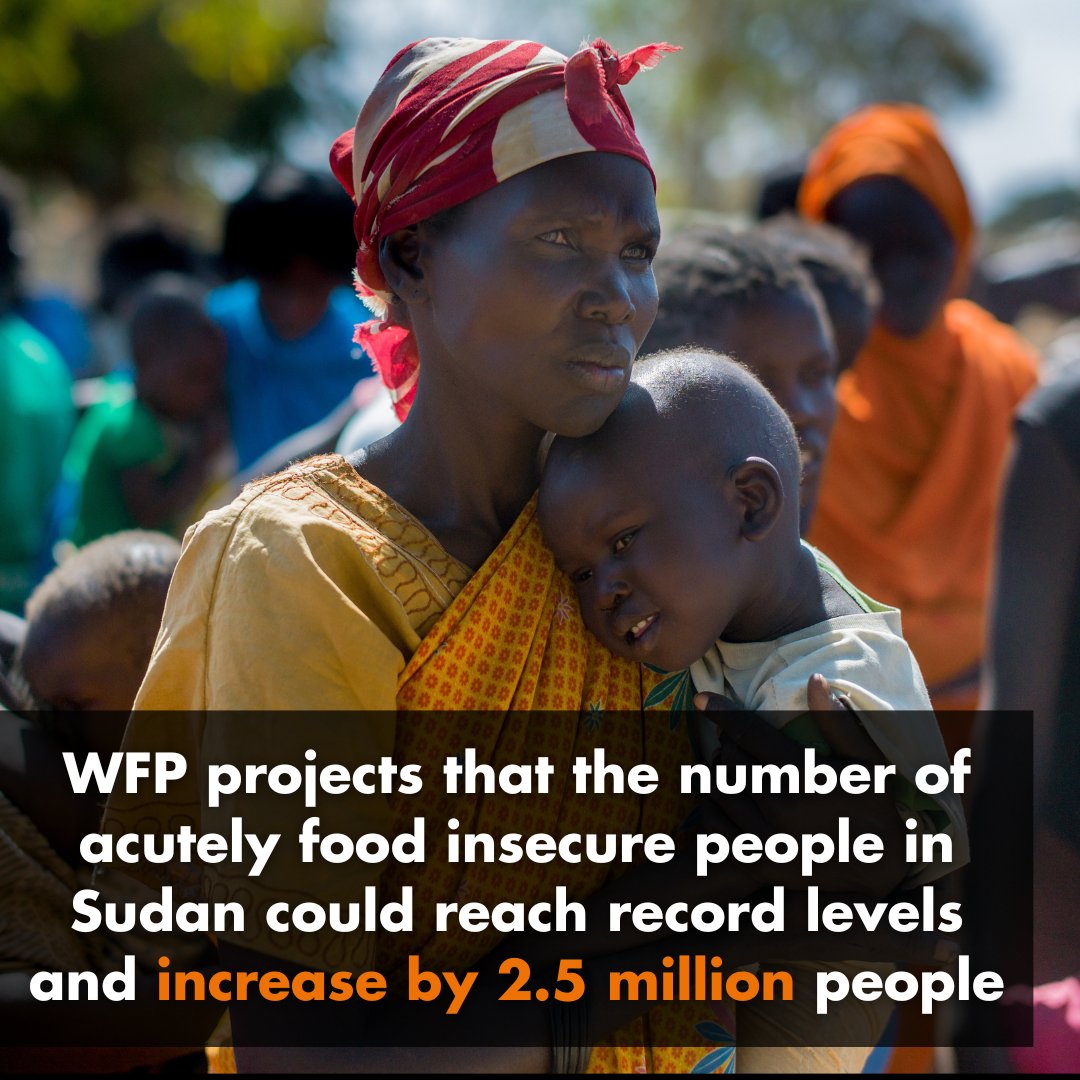 acfcanada's tweet photo. It's been over a month since the conflict broke out in Sudan. As the fighting rages on, hundreds of thousands have fled, and food insecurity is rapidly growing.
Without peace, hunger is set to hit record levels in Sudan.
To #EndHunger, we must #StopConflict. https://t.co/COs6N0v77R