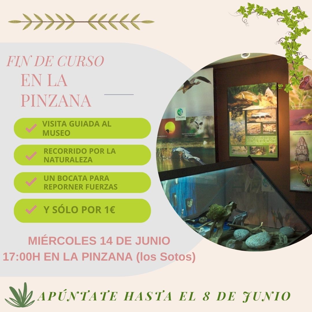Como actividad de final de curso,nos vamos de excursión a la Pinzana. Visitaremos el Centro de Interpretación de los Sotos, daremos un pequeño paseo y repondremos fuerzas con un bocata. Todo por 1€. Animaos, os esperamos.#lapinzanamonzon #educacionadultosmonzon #epaaragon