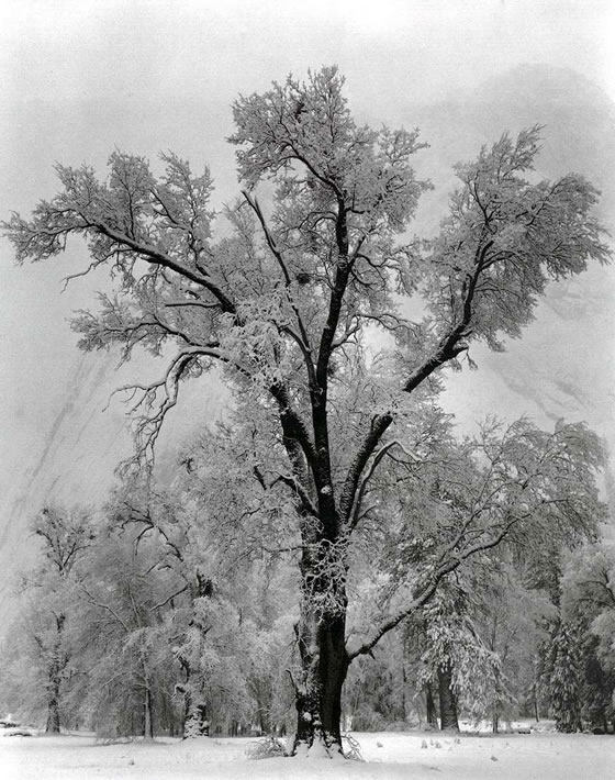 Foto Inspiración 2/4 #Historiadelafotografía #Maestrosdelafotografía #Historyofphotography #Mastersofphotography #AnselAdams