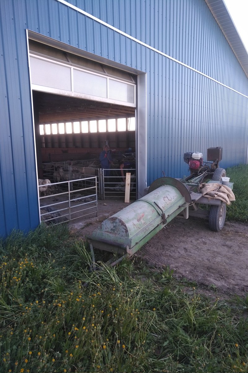 Michael (The Young Buck)🧢 tweet media