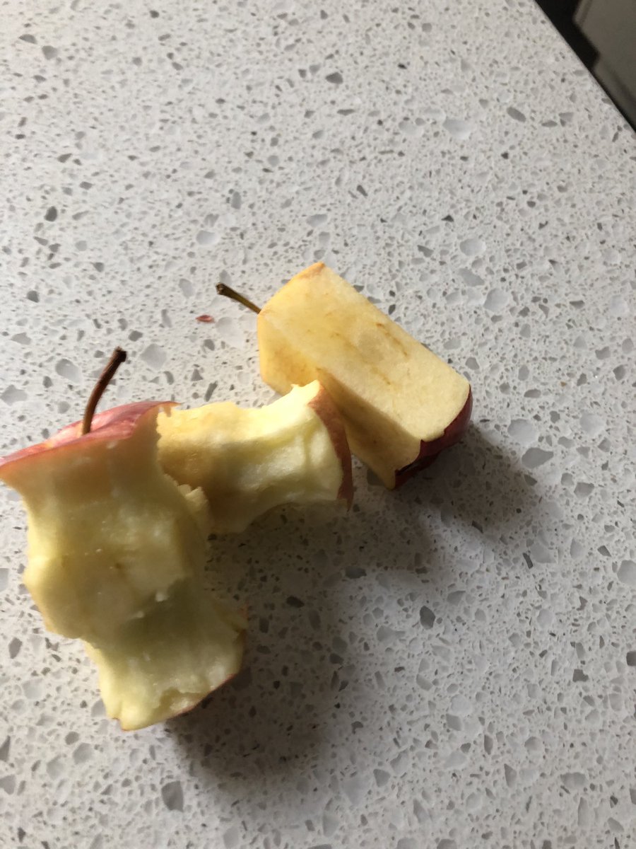 RayBernoties's tweet photo. Neither of ‘the princes’ eat unsliced apples so my morning breaky usually starts with eating around apple cores after the apples have been sliced for their lunches…followed by some bruised banana and maybe some crust of toast. #DustbinDad https://t.co/HvSHNbCWdH