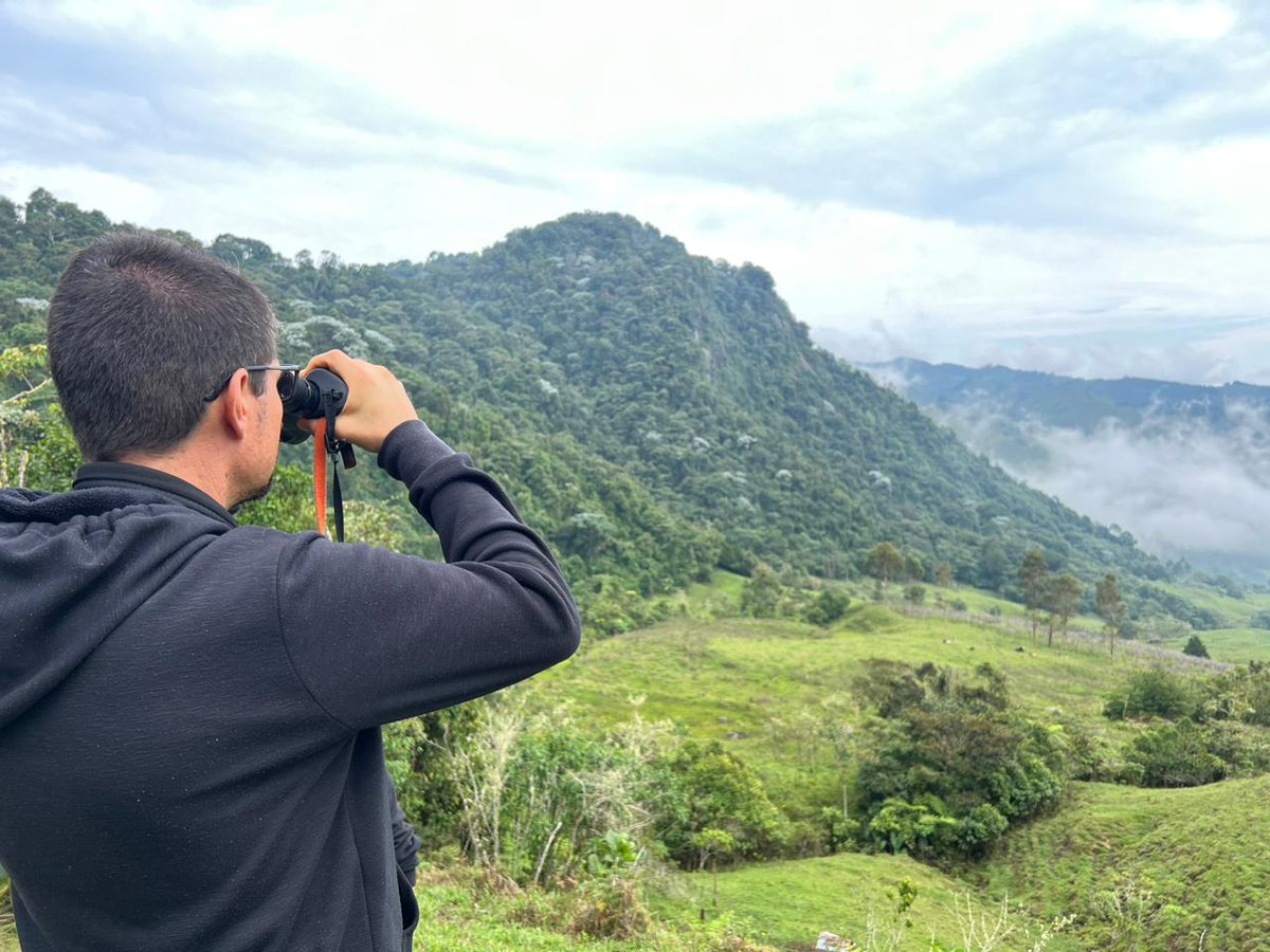 Collective_Col's tweet photo. 🦜📷 | Este año se conformó el Club de Avistamiento de Aves en #Supía, compuesto por 15 jóvenes de la vereda Hojas Anchas. Su primera labor fue sumarse al #GlobalBigDay, en donde se registraron 563 especies de aves a nivel departamental, 50 de ellas avistadas en el Cerro Viringo. https://t.co/wEWDhs2kdu