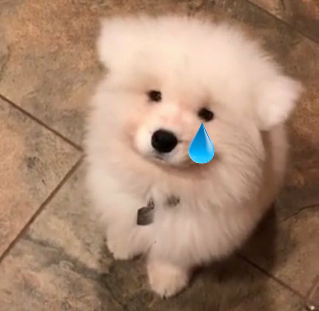 dogonboo's tweet image. เขาบอกว่าเราน่ารักหรอ